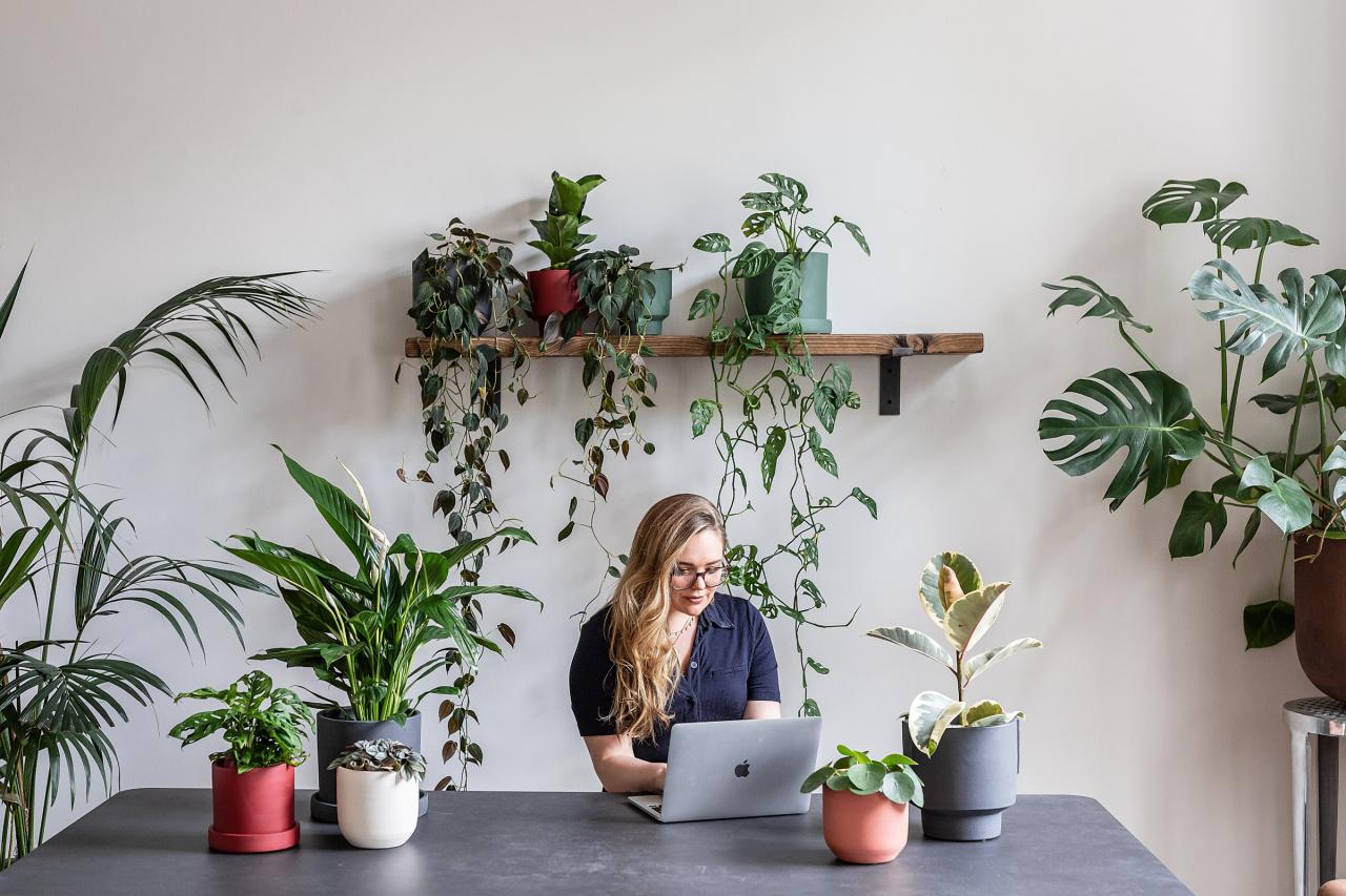 Bringing Nature Home: The Beauty of Indoor Plants