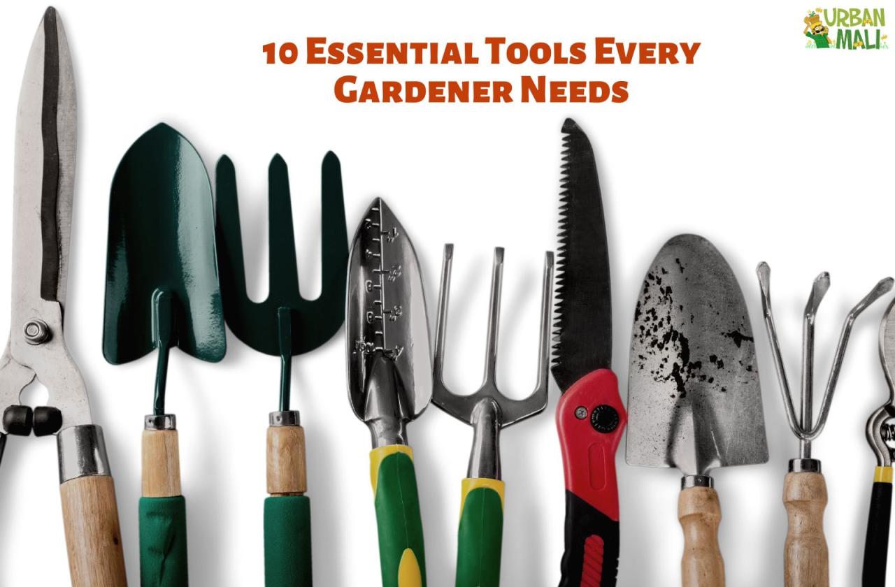 Garden Plant Rule 36inch Essential Tools