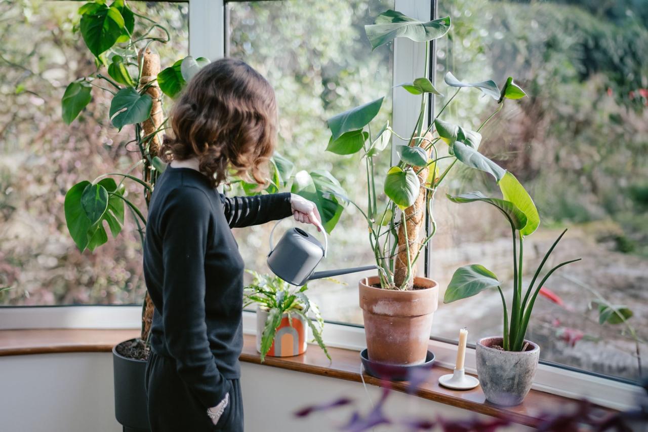 The Art of Indoor Gardening: Growing Plants Inside
