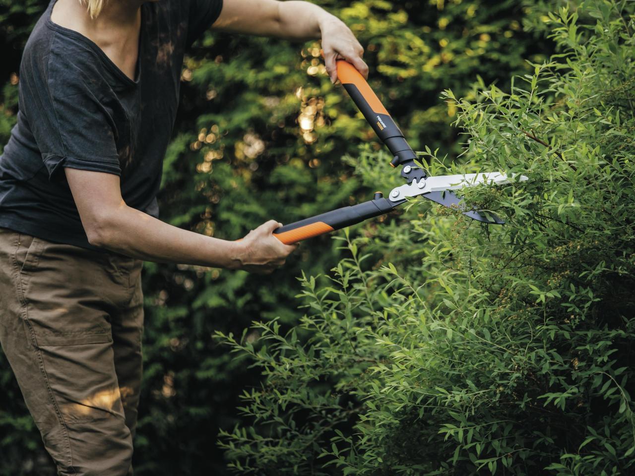 Maintaining Your Garden: Best Tools for Pruning and Trimming