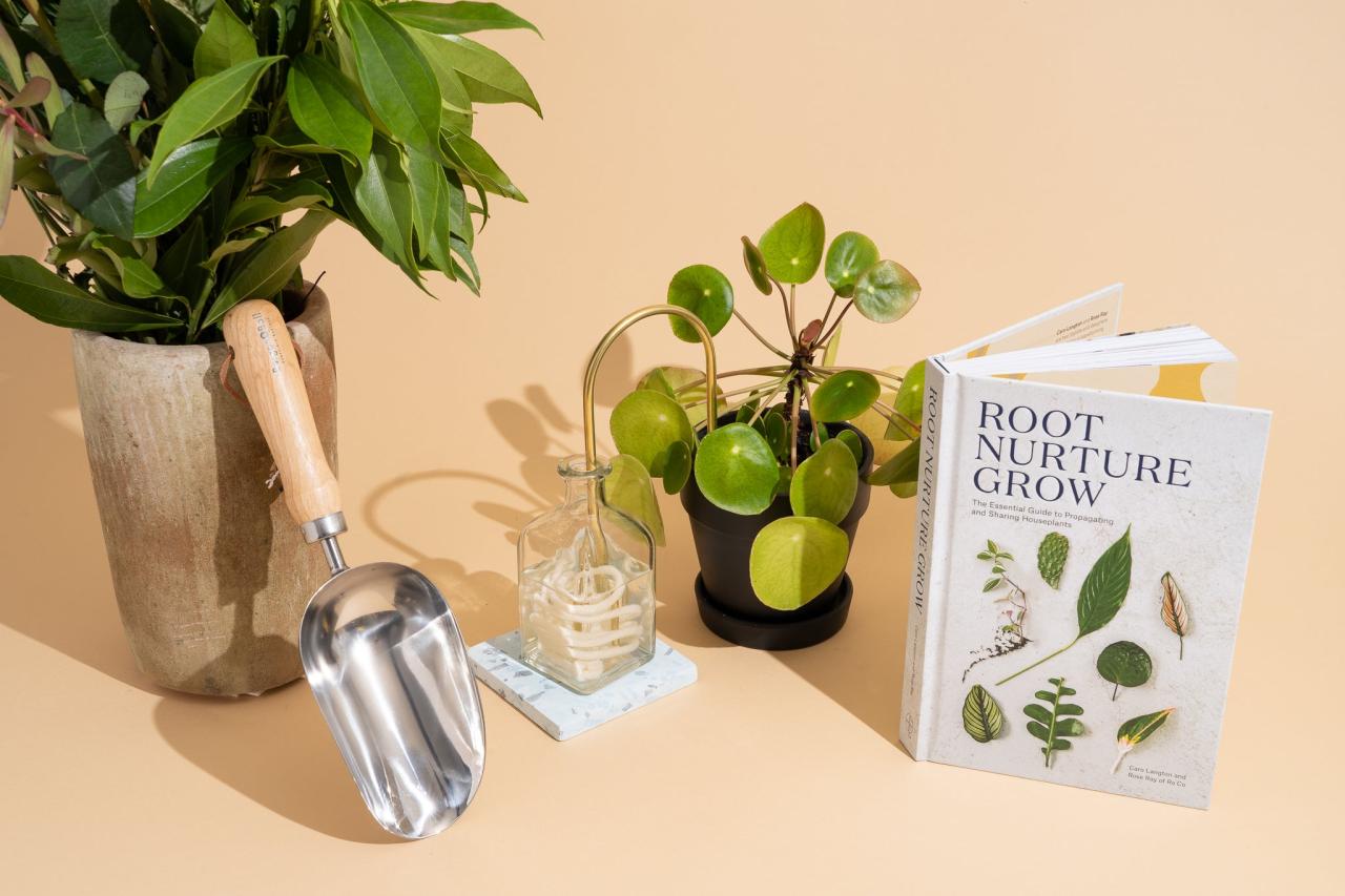 23 Best Gifts for Plant Lovers of 2023 | Reviews by Wirecutter