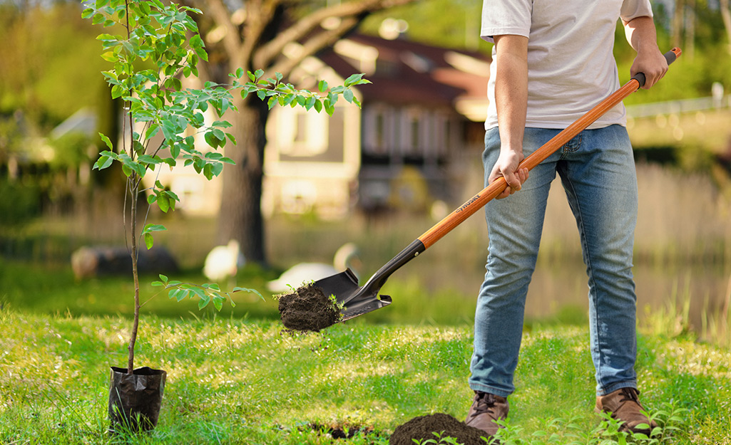Digging Deeper: Choosing the Right Garden Tools for Your Soil