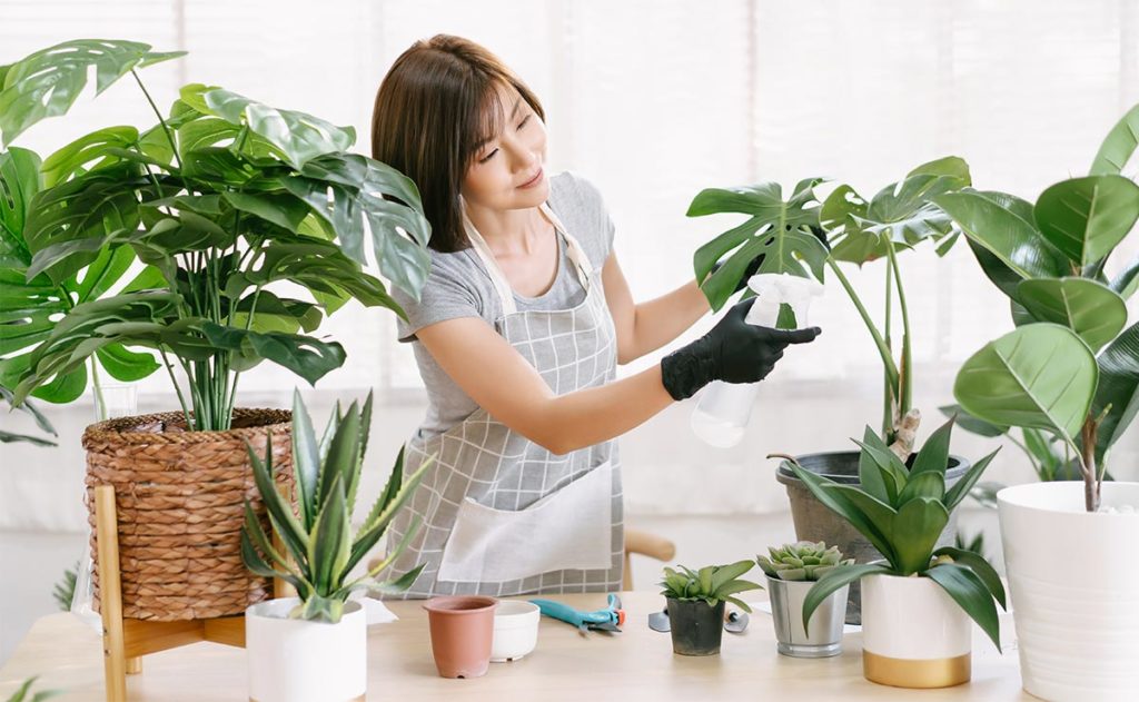 5 steps to starting your planting journey. — Arktivate
