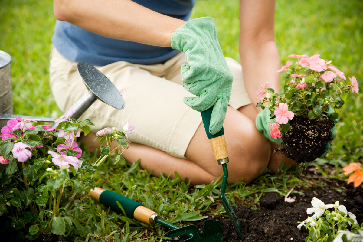 Cultivating Greenery: Effective Planting Tips for Every Gardener